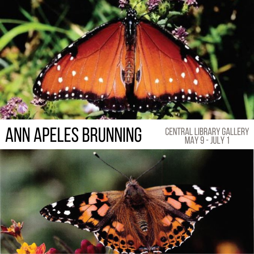 Ann Apeles Brunning: Flying Flowers exhibit opens May 9 - July 1, 2022