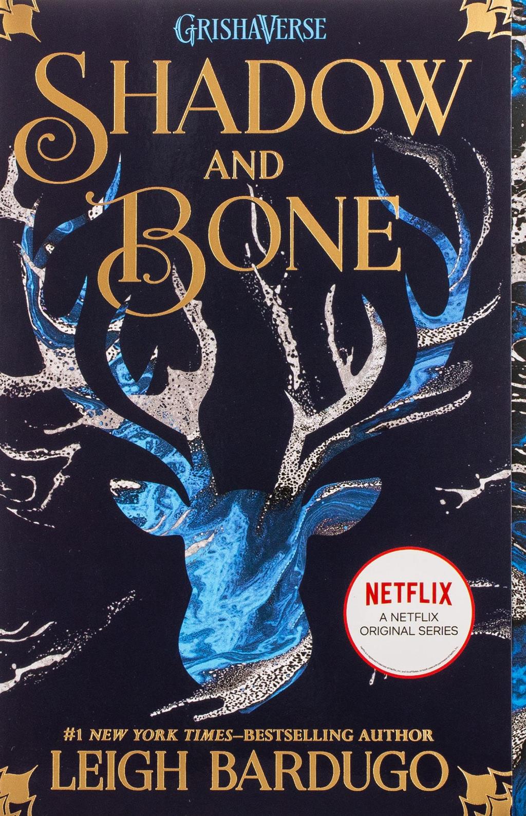 shadow and bone book cover