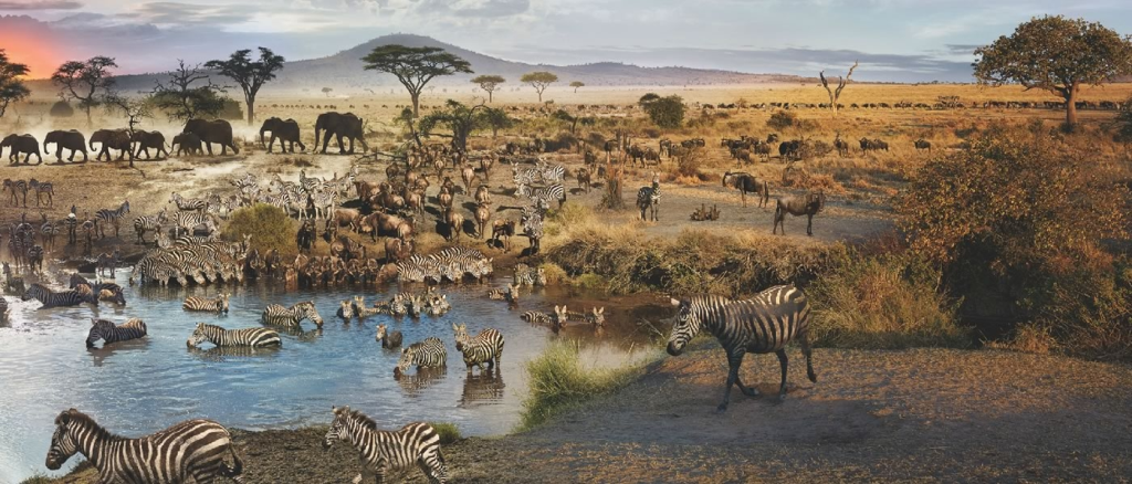 painting of animals on african landscape