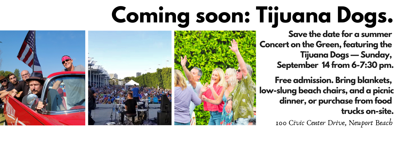 TJ Dogs banner ad